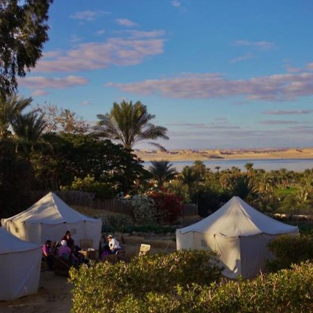 Tunis Village El-الفيوم المظهر الخارجي الصورة