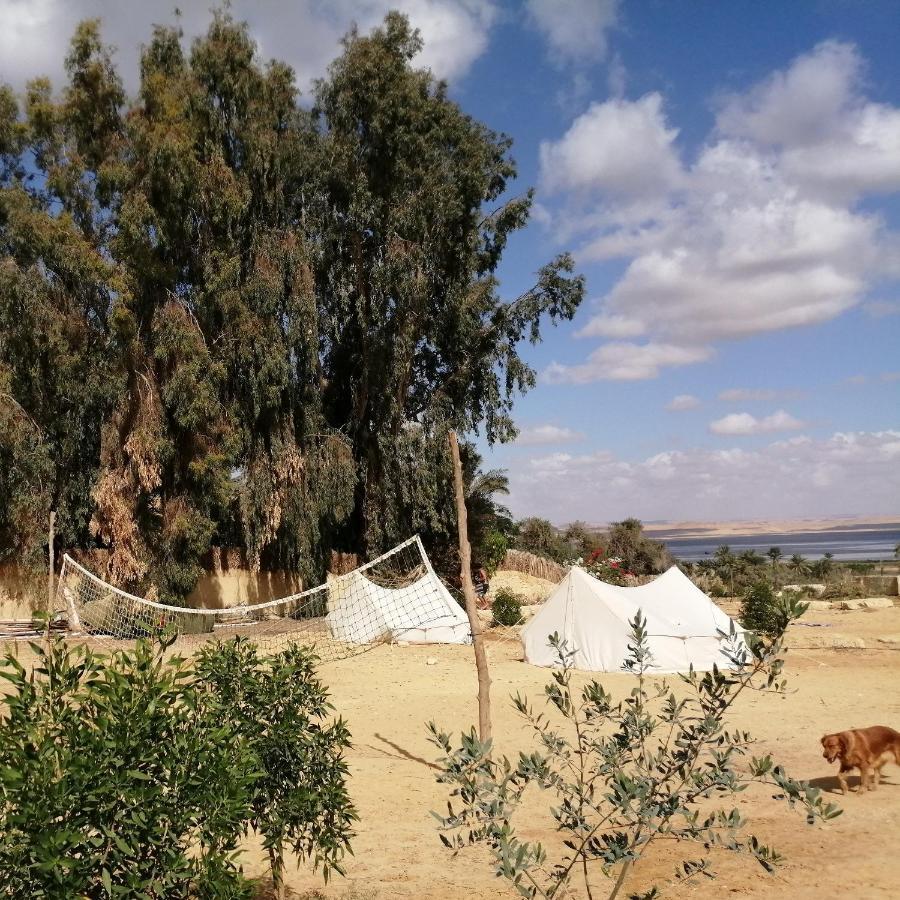 Tunis Village El-الفيوم الغرفة الصورة