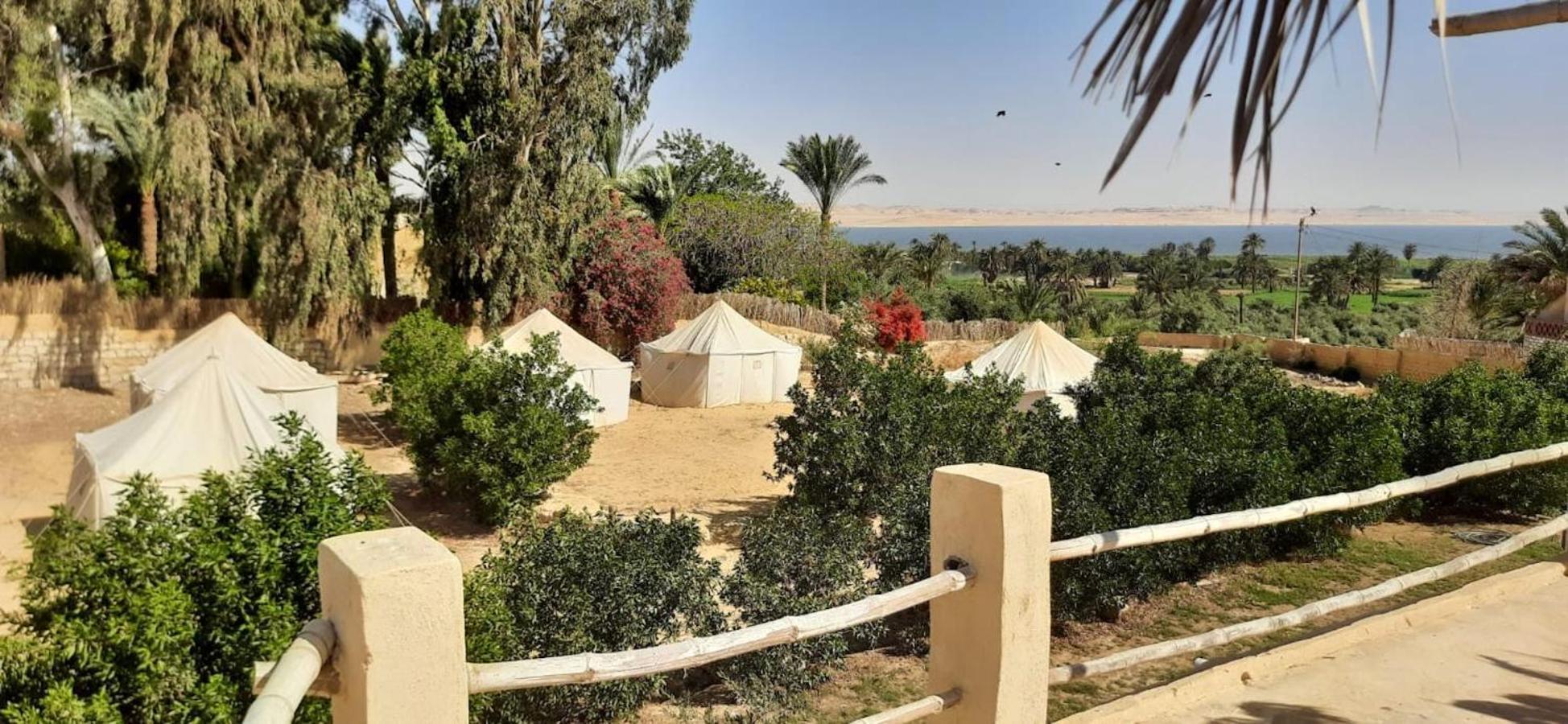 Tunis Village El-الفيوم المظهر الخارجي الصورة